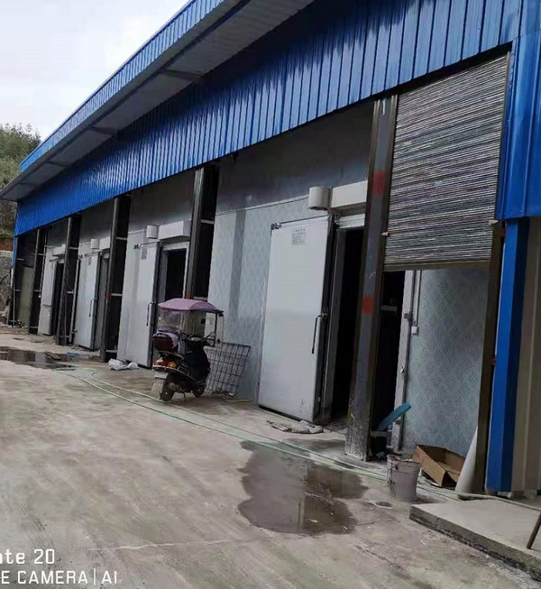 湖南省常德市陬市镇XXX林木茶油合作社