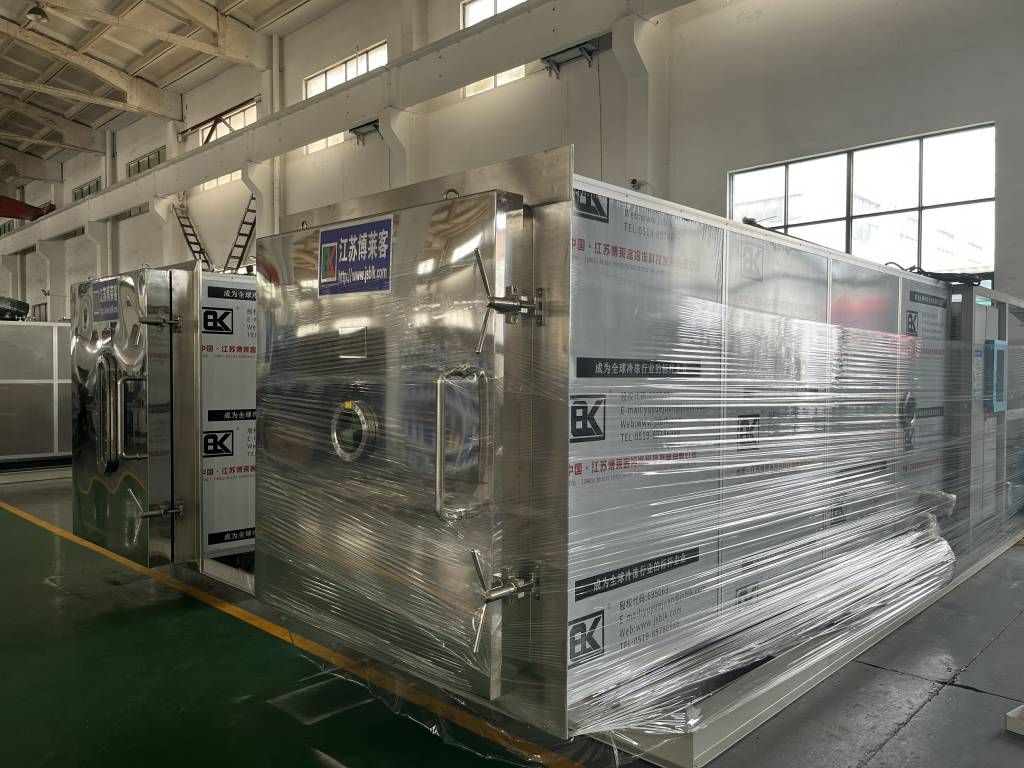 BLK-FD-30㎡冻干机出口南美