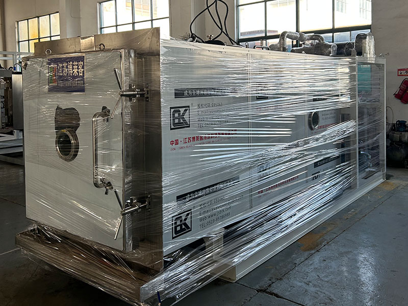 BLK-FD-10㎡冻干机发往湖南